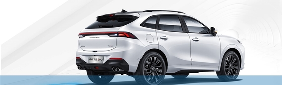 Get Behind the Wheel of the Dongfeng Wind T5 SUV 4 Forward Shift 200-300Nm Torque