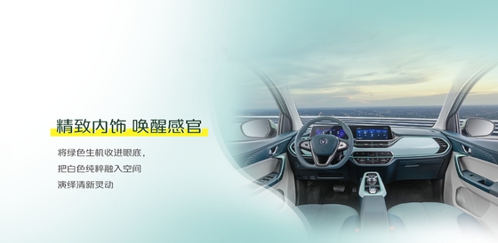 Small SUV Electric Car with 5 Seats and 310km Endurance Changan Ou Shang Ben E-ster