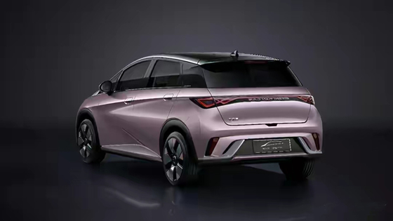 2024 BYD Dolphin Small 5-Door 4-Seater Hatchback Compact and Environmentally-Friendly