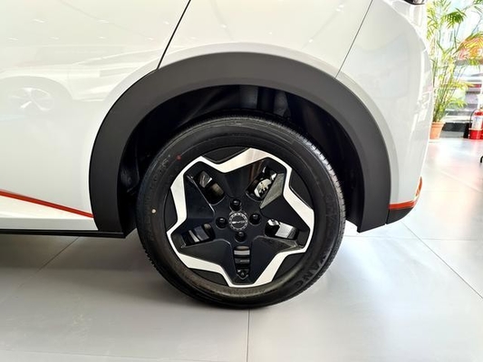 2024 BYD Dolphin Small 5-Door 4-Seater Hatchback Compact and Environmentally-Friendly