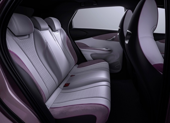 2024 BYD Dolphin Small 5-Door 4-Seater Hatchback Compact and Environmentally-Friendly