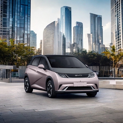 2024 BYD Seagull Pure Electric SUV Fashionable Energy Vehicle with 302km Range