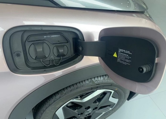 Pure EV BYD Dolphin Exporter 5*5 Mini Chazor Auto for Affordable Electric Driving