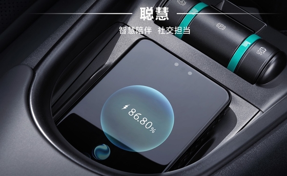 Byd Dolphin 301 km -405 km The Perfect Combination of Performance and Sustainability