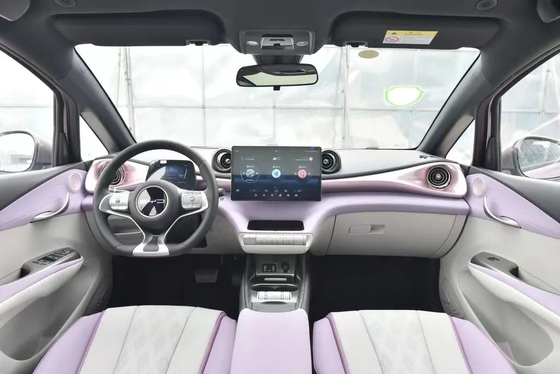Energy Electric Vehicle BYD Dolphin Affordable and Durable for Chinese Buyers in 2023