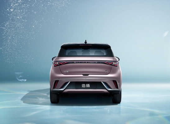 2024 BYD Dolphin Small 5-Door 4-Seater Hatchback Compact and Environmentally-Friendly
